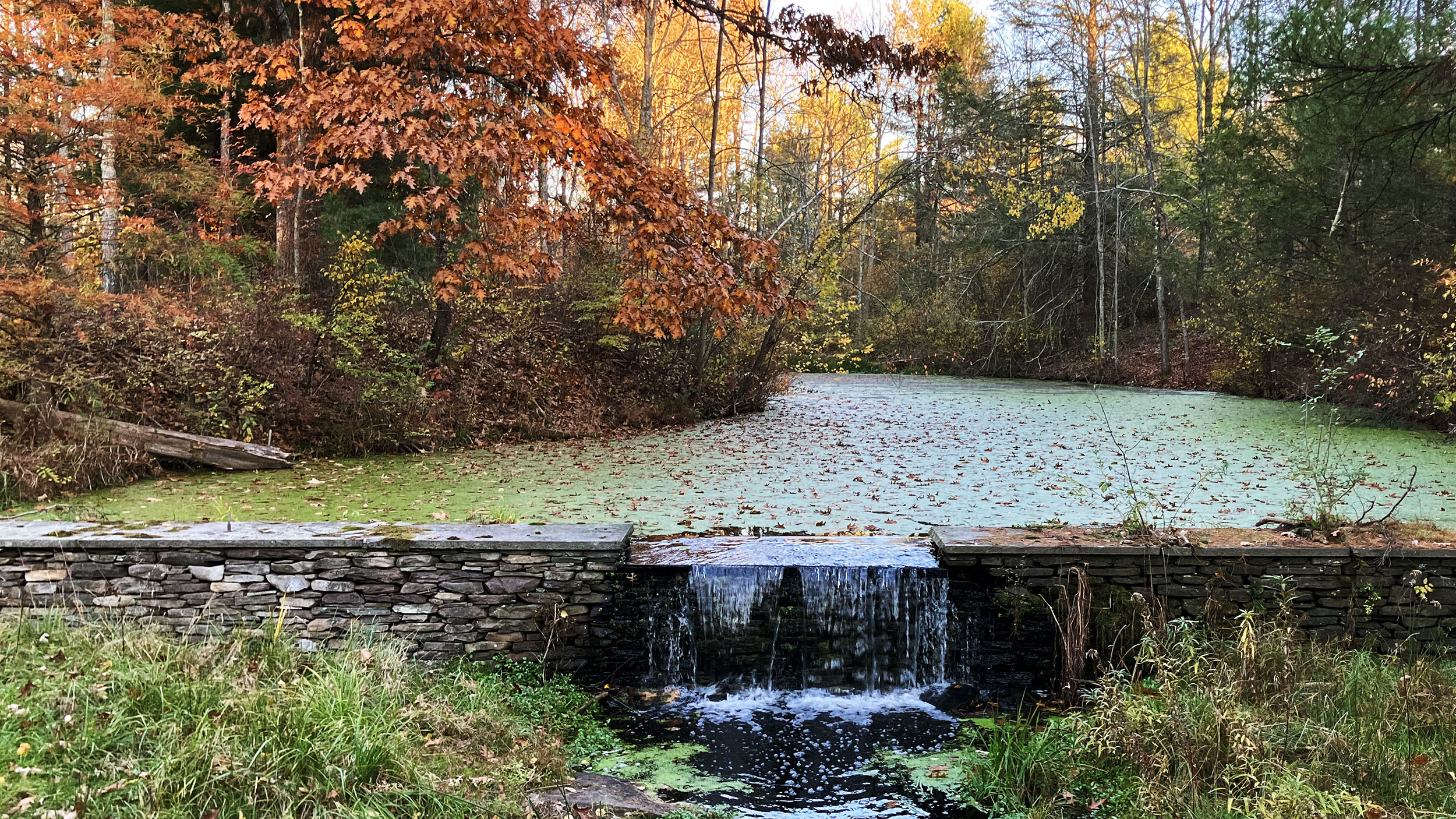 Weir Falls in autumn.